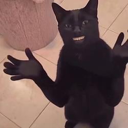BLACKCAT