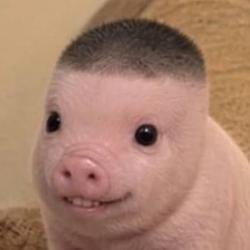 PWF