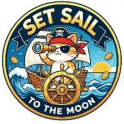 SAIL / WBNB (SAIL) logo