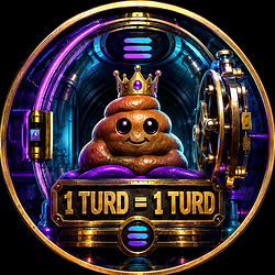 $1 turd / SOL