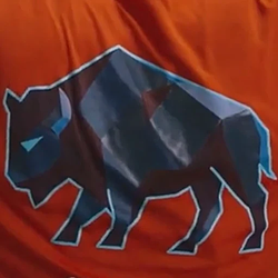 Cyberbull