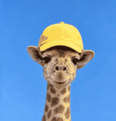 GIF