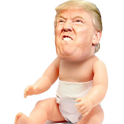 babyTrump / SOL