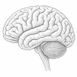 BRAINVIRUS