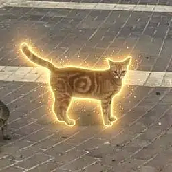 ◎ / SOL