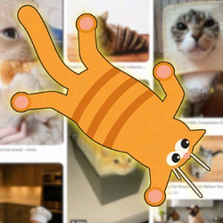 catnet