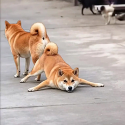 STUCK