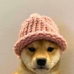 WIF