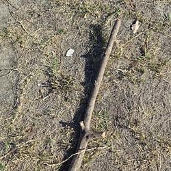 Stick logo