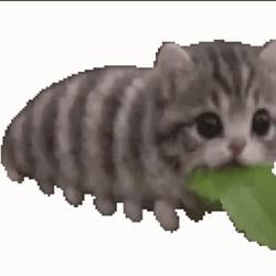 caterpillar