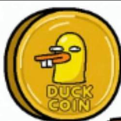duck / SOL