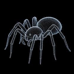SPIDER / GOOGL