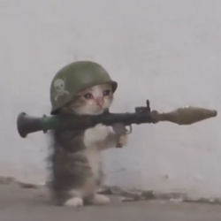 BAZUCAT