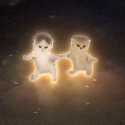 danceCat