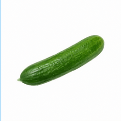 CUCUMBER / SOL