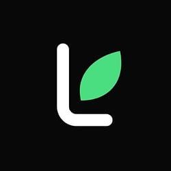 Sprout