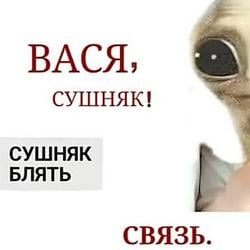 VASYA