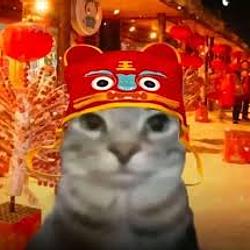 扎祖 / USDG