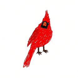 ROBIN / WETH