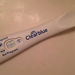 pregnut