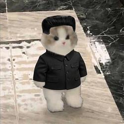 CATJONGUM / WETH