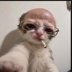 Unccat