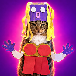 CARDCAT