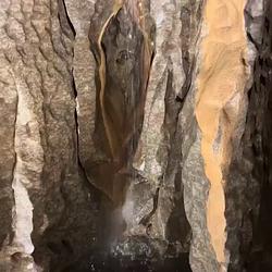 PUSSYCAVE