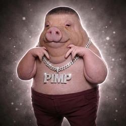 PIMP