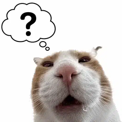 BOUGHT