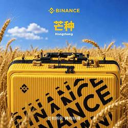 芒有所获 种有所得 / BNB