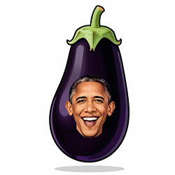 OBAMASBBC