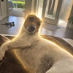 Milo
