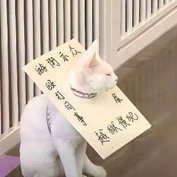宁宁 / BNB