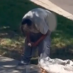 Shitter