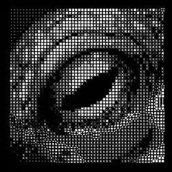 octo