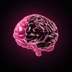 MIND