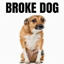 BROKEDOG / SOL
