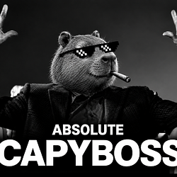 ACAPY