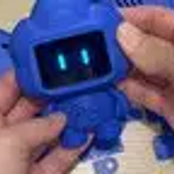 CODEXPET