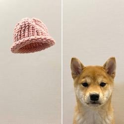 DOGWIFHAT
