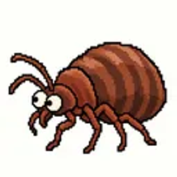 BEDBUG