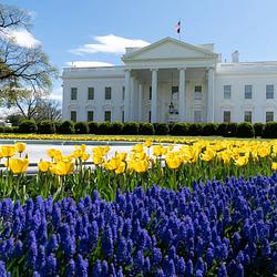 White House