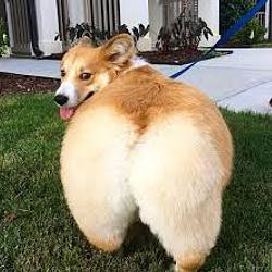 BWnZmpgJhW