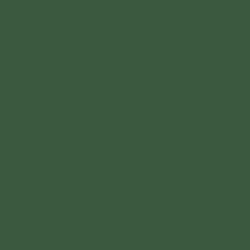 neuroplast
