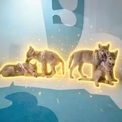 4 / SOL