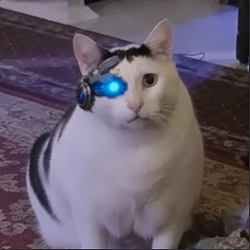 AIHUHCAT / NVDAx