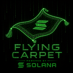 CARPET / SOL