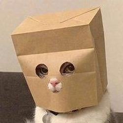 ZCAT
