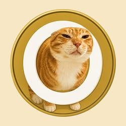 OYEN